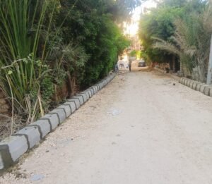رصف شوارع حي العجمي 
