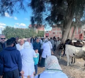 بيطري الشرقية ينظم قافلة علاجية مجانية 