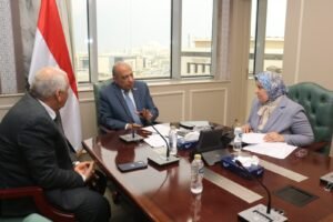 وزير الكهرباء