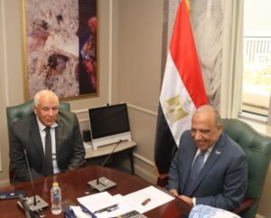 وزير الكهرباء