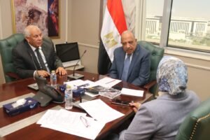 وزير الكهرباء