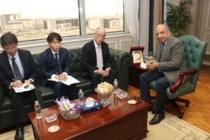 التعاون المصري الياباني في الطاقة