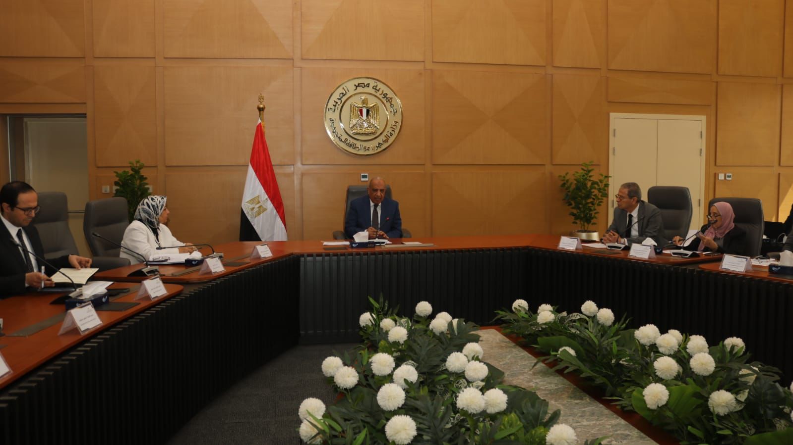 وزير الكهرباء