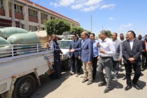 توريد القمح بالمنيا