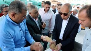 جولة داخل الصوامع 