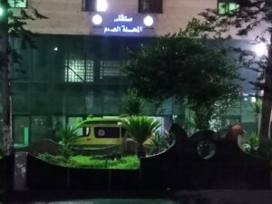 مستشفى المحلة العام 