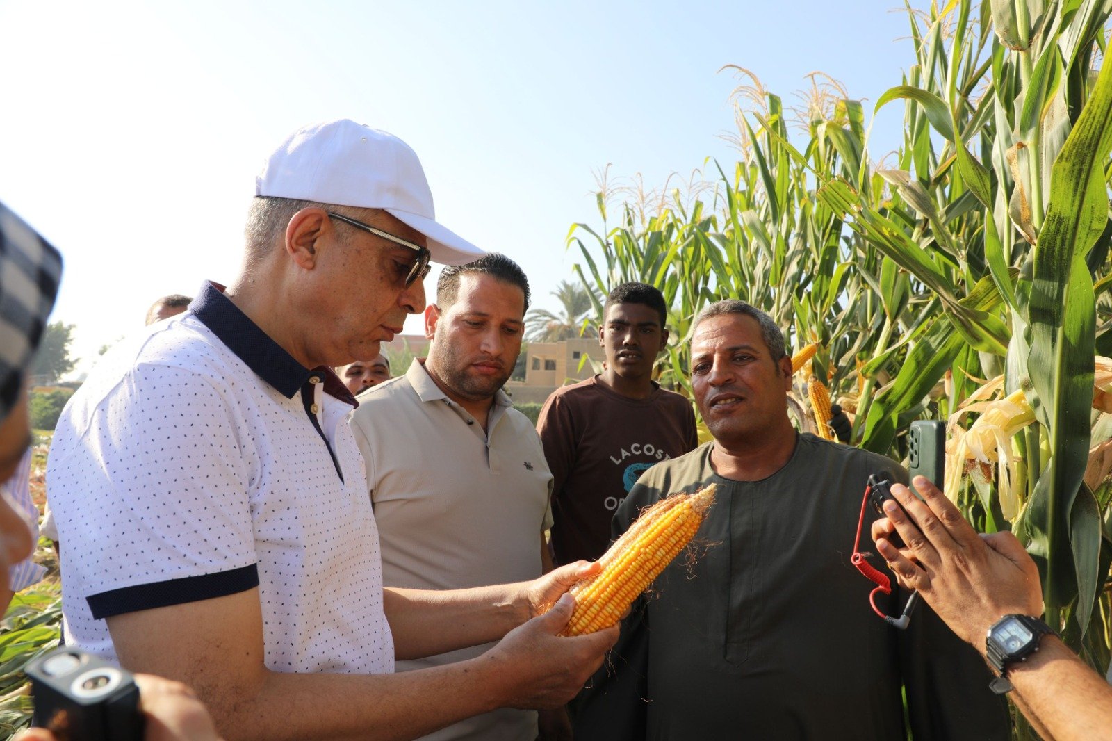 عيد الفلاح بالمنيا