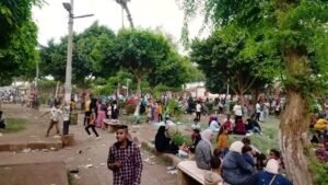 صور من حديقة حيوان ناصر 