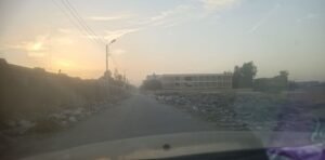 الزبالة والماشية النافقة على طريق المدارس بعرب مطير (3)