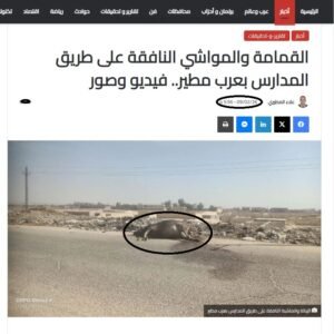 تقرير سابق نشرته اليوم في 9 فبراير الجاري