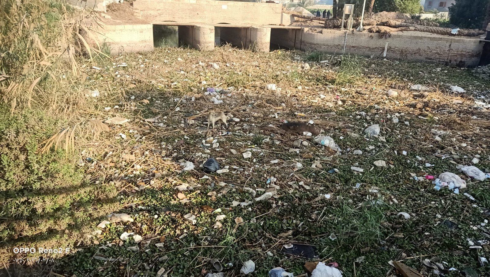 وضع الخدمات العامة في عرب مطير