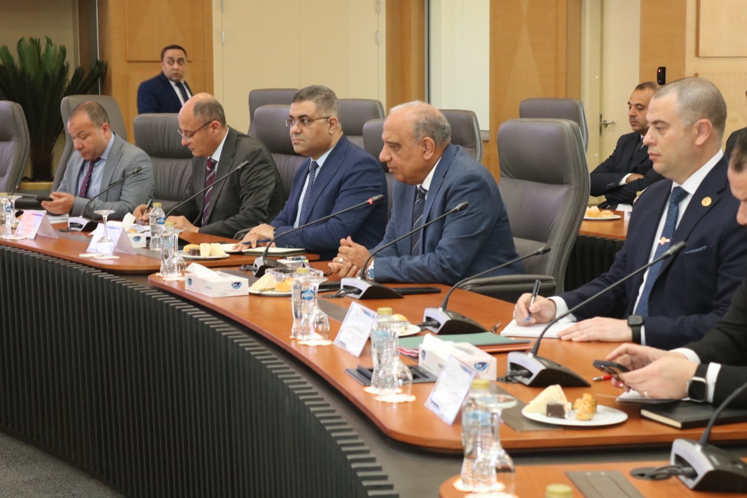 وزير الكهرباء