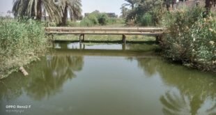 الوضع في قناطر عرب مطير خلال تطهير أجزاء منها يوم 5 أبريل 2026