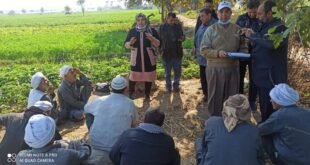 الزراعة التعاقدية