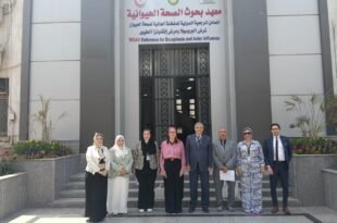 معهد بحوث الصحة الحيوانية
