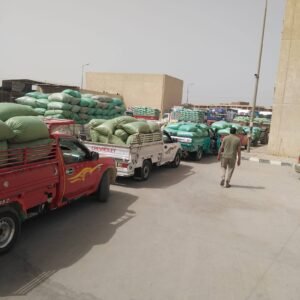 استلام القمح المنيا